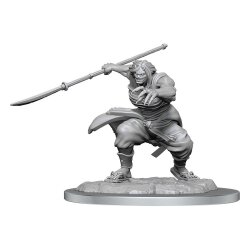 D&D Nolzurs Marvelous Miniatures Miniaturen unbemalt Oni Female Umkarton (4)