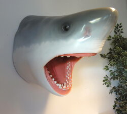 Der große weiße Hai Great White Shark Replik 1:1 Figur Statue 80cm Kopf Life Size