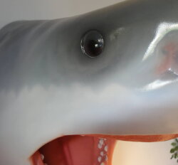 Der große weiße Hai Great White Shark Replik 1:1 Figur Statue 80cm Kopf Life Size