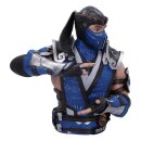 Mortal Kombat Büste Sub-Zero 30 cm Figur Bust Statue Actionfigur Replik