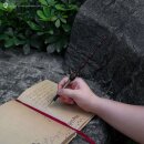 Harry Potter Kugelschreiber mit Ständern Albus Dumbledore Zauberstab Display (9)