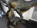 Jurassic Park World Life Size Raptor VELOCIRAPTOR Figur...