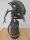 Alien Warrior Maquette Statue 58cm Figur Aussteller China Aliens