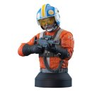 Star Wars: The Mandalorian Büste 1/6 Carson Teva...