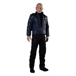 Star Trek: Picard Actionfigur 1/6 Jean-Luc Picard 28 cm