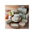 Mein Nachbar Totoro 4 locks Bento Box My Neighbor Totoro
