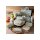Mein Nachbar Totoro 4 locks Bento Box My Neighbor Totoro