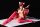 Fairy Tail Statue 1/6 Erza Scarlet - Cherry Blossom CAT Gravure_Style 13 cm