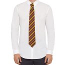 Harry Potter Krawatte & Ansteck-Pin Deluxe Box...