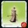 Star Wars: The Book of Boba Fett Retro Collection Actionfigur Tusken Warrior 10 cm