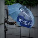 Wednesday Regenschirm Wednesday with Cello