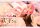 Shikimors Not Just a Cutie Prisma Wing PVC Statue 1/7 Shikimori san 22 cm
