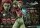 Batman: Arkham City Museum Masterline Series Statue 1/3 Poison Ivy 80 cm