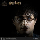 HARRY POTTER Life-Size Silikon Kopf einzigartig High-End...