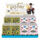 Harry Potter Spielkarten Display (24)