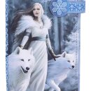 Anne Stokes Geldbeutel Winter Guardians 18 cm