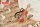 Your Lie in April Brosche Violin 7 cm