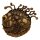 Dungeons & Dragons Medaillen-Set 50th Anniversary Beholder Twin Edition