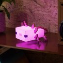 Minecraft: Axolotl Light