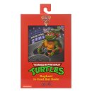 Teenage Mutant Ninja Turtles (1987 Cartoon) Actionfigur...
