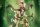 The Legend of Sword and Fairy Statue 1/7 Anu Shen Mu Miao Ying Ver. 28 cm