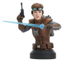 Star Wars Büste 1/6 Starkiller Hero (Concept)...