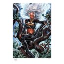 Marvel Kunstdruck Immortal X-Men: Storm 61 x 46 cm -...