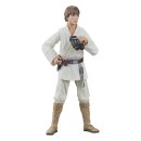 Star Wars Episode IV Black Series Actionfigur Luke...