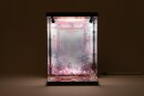 SHINSAI Acryl Display Case mit Beleuchtung Inbina...