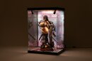 SHINSAI Acryl Display Case mit Beleuchtung Inbina Rasethuhime Saki M Edition 39 cm