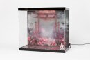 SHINSAI Acryl Display Case mit Beleuchtung Inbina...