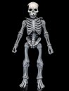 Graveyard Skeletons Actionfiguren 4er-Pack