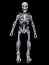 Graveyard Skeletons Actionfiguren 4er-Pack