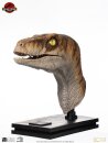 Jurassic Park Life-Size Büste Male Velociraptor 75 cm