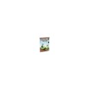Minecraft Stempel 6cm Sortiment (24)
