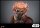 Star Wars Movie Masterpiece Actionfigur 1/6 Plo Koon 31 cm