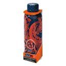 Dragon Ball Edelstahl-Trinkflasche Shenlong