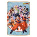 Dragon Ball Super Fleecedecke Universe Survival Iconic...