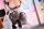 Original Character PVC Statue 1/4 Cat´s Thought Maid Cat Mochan 24 cm