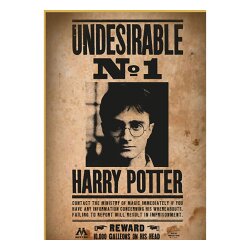 Harry Potter Puzzle Wanted No1 Harry Potter (50 Teile)