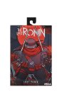 Teenage Mutant Ninja Turtles (The Last Ronin The Lost...