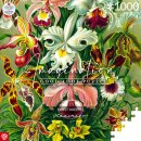 Ernst Haeckel Puzzle Orchid (1000 Teile)