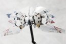 Ikaruga Plastic Model Kit Ginkei 16 cm