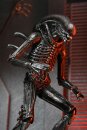 Alien: Romulus Actionfigur Ultimate Xenomorph XX121 18 cm