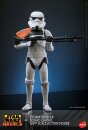 Star Wars: Rebels Actionfigur 1/6 Stormtrooper Squad...