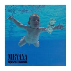 Nirvana Rock Saws Puzzle Nevermind (500 Teile)