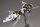 Ikaruga Fine Scale Model Kit 1/144 White Ikaruga 16 cm