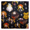 Harry Potter by Loungefly Tragetasche Spring Convertible