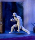 Scooby-Doo Actionfigur 1/12 Mummy of Ankha 17 cm