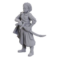 D&D Nolzurs Marvelous Miniatures Miniaturen unbemalt Ansalon Human Rogue 10 cm